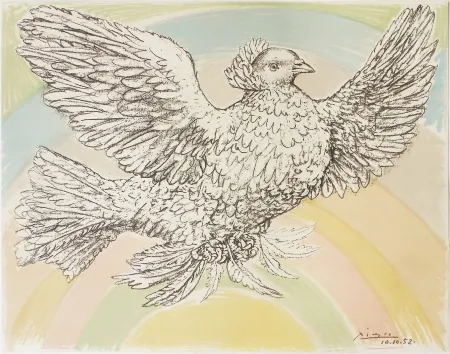 石版画 Picasso - Colombe à l'Arc en Ciel