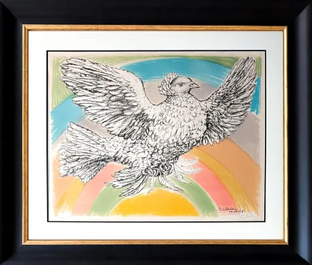 石版画 Picasso - Colombe volant (à l'Arc-en-ciel)