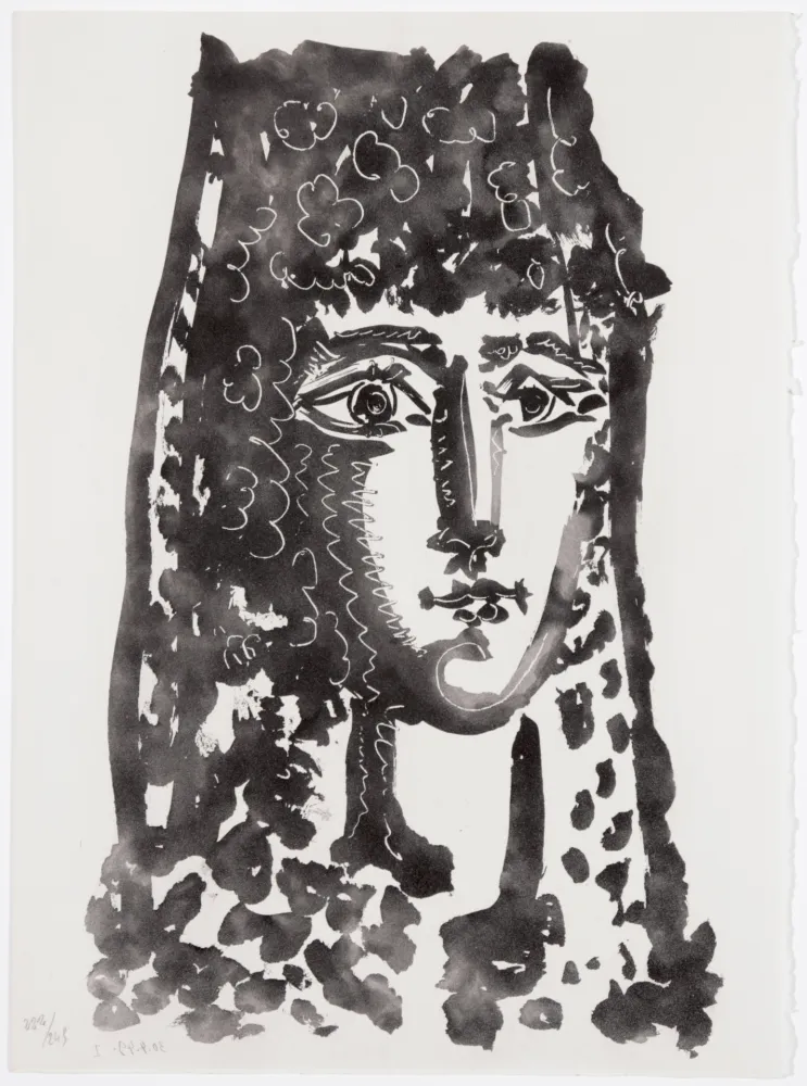 飞尘腐蚀法 Picasso - Femme à la mantille