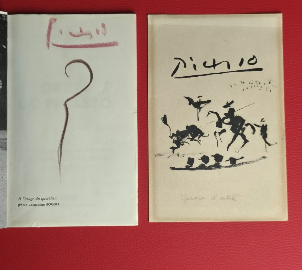 插图书 Picasso - Griffes de Picasso 