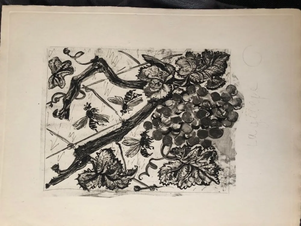 飞尘腐蚀法 Picasso - La guêpe