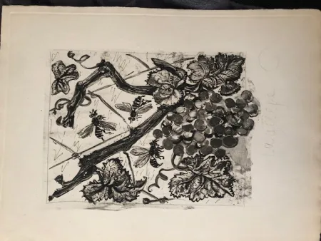 飞尘腐蚀法 Picasso - La guêpe