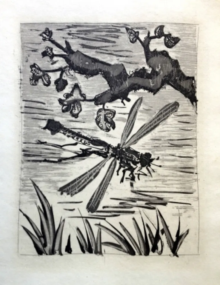 蚀刻飞尘法 Picasso - LA LIBELLULE