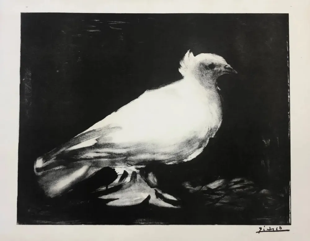 石版画 Picasso - La petite Colombe