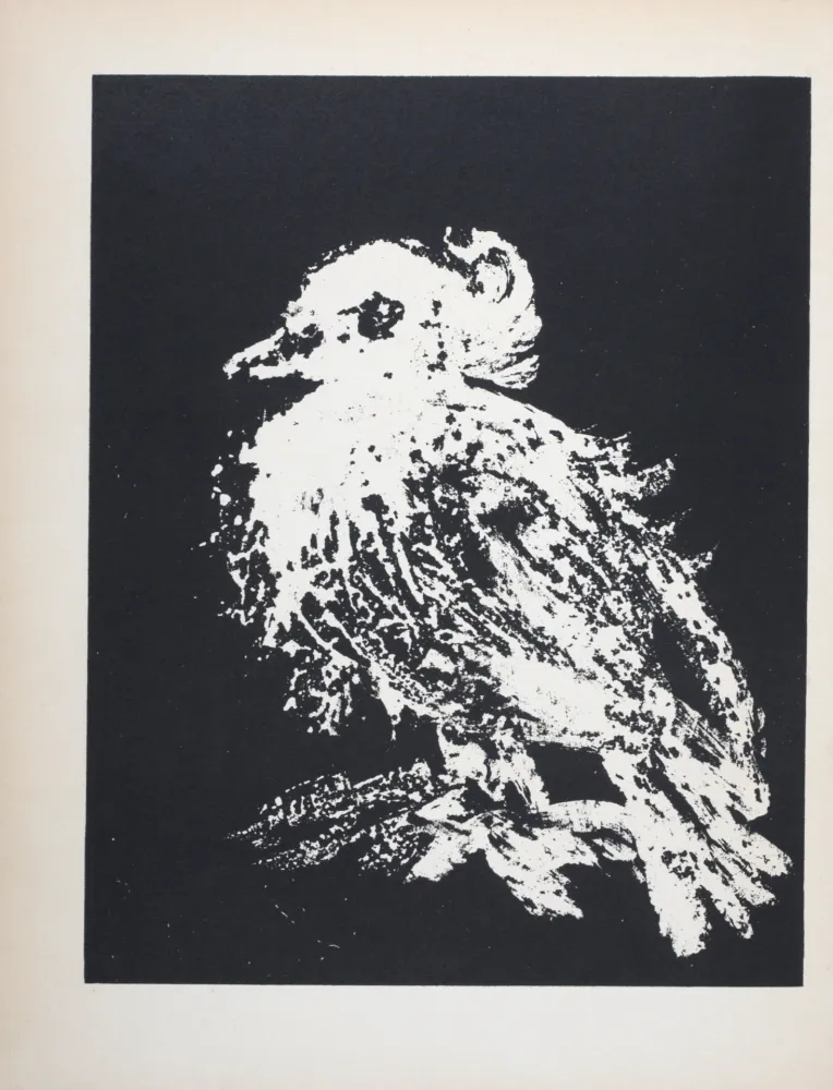 石版画 Picasso - La petite colombe, 1949