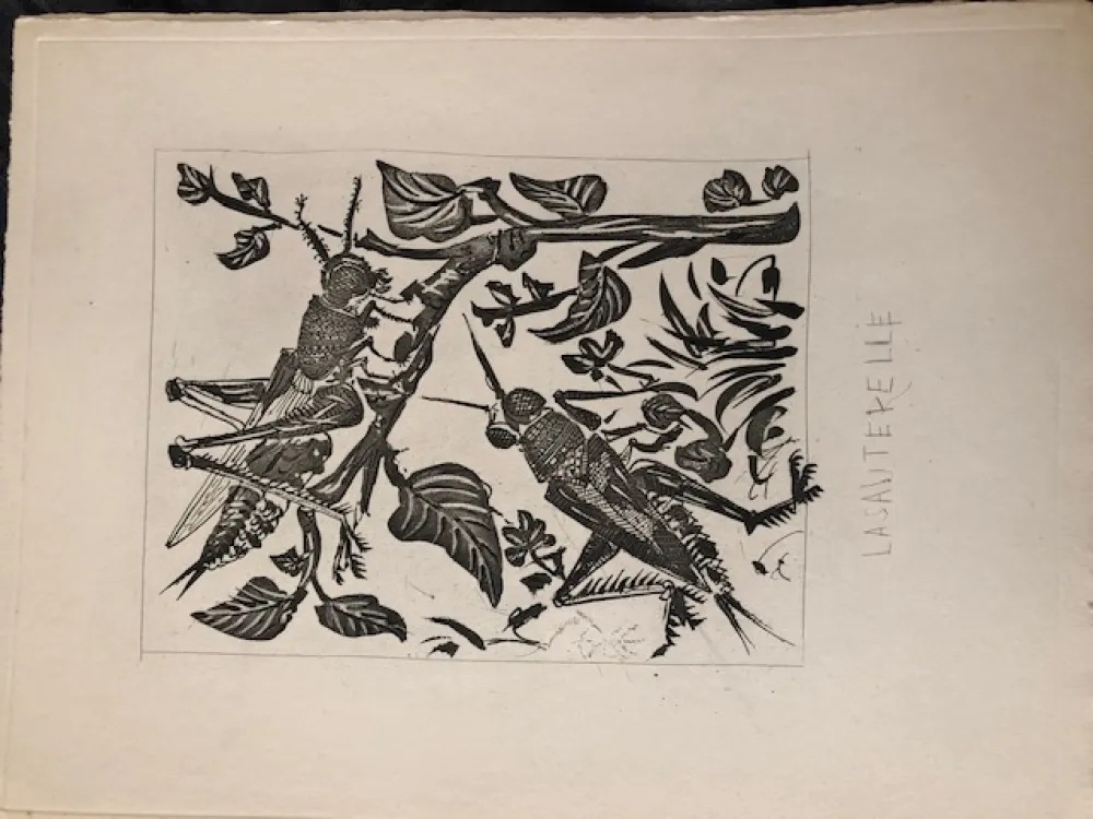 飞尘腐蚀法 Picasso - La sauterelle