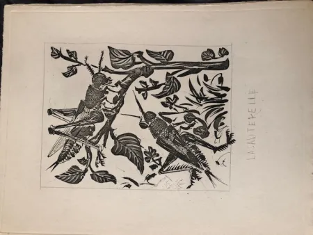 飞尘腐蚀法 Picasso - La sauterelle