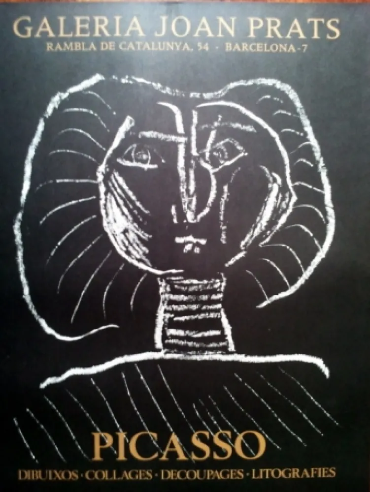 海报 Picasso - S/T