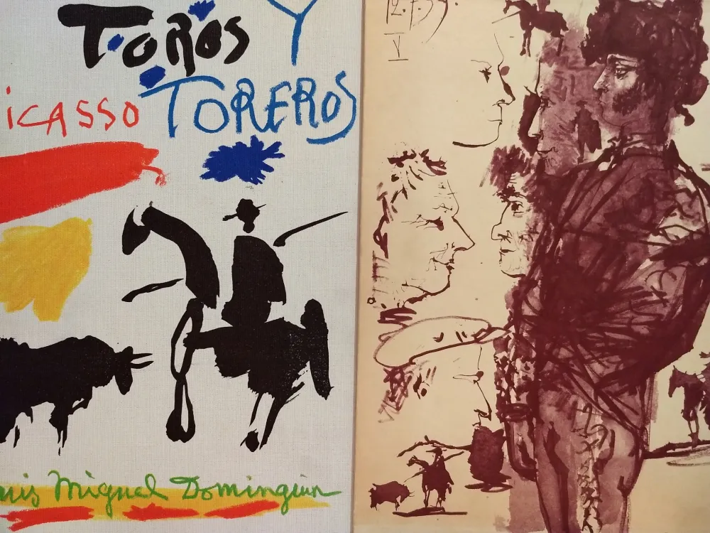 插图书 Picasso - Toros Tore Ros