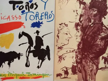 插图书 Picasso - Toros Tore Ros