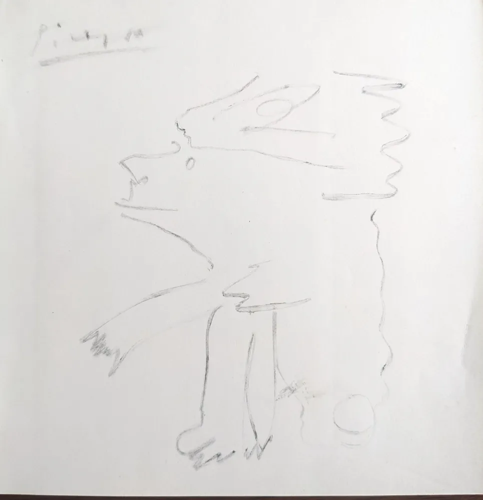 无技术 Picasso - Untitled