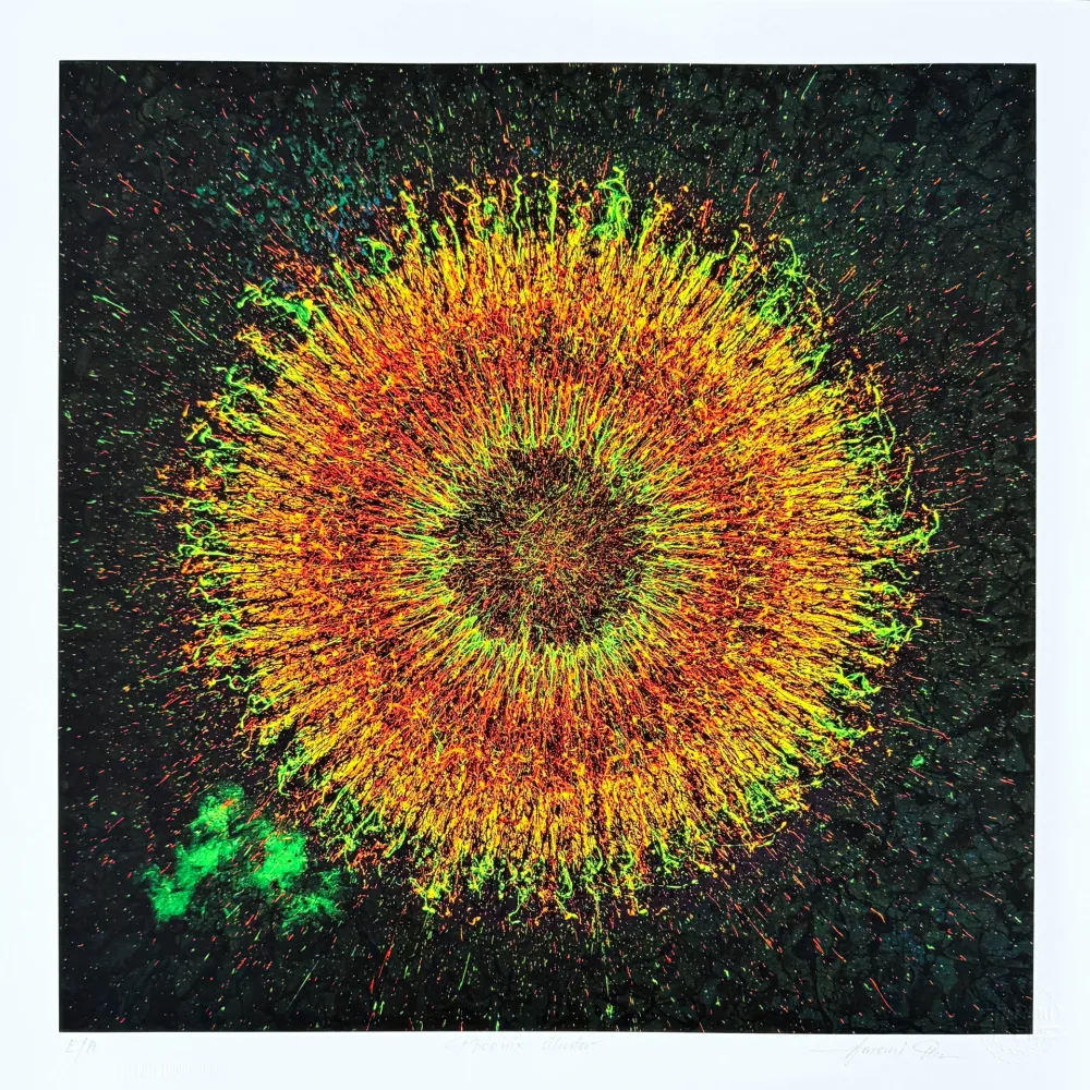 数码版画 Picz - Phoenix Cluster