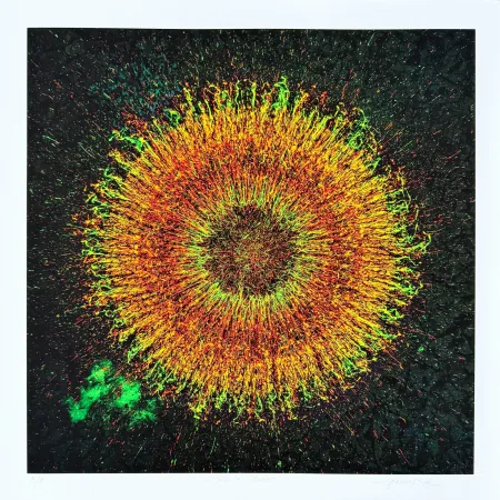 数码版画 Picz - Phoenix Cluster