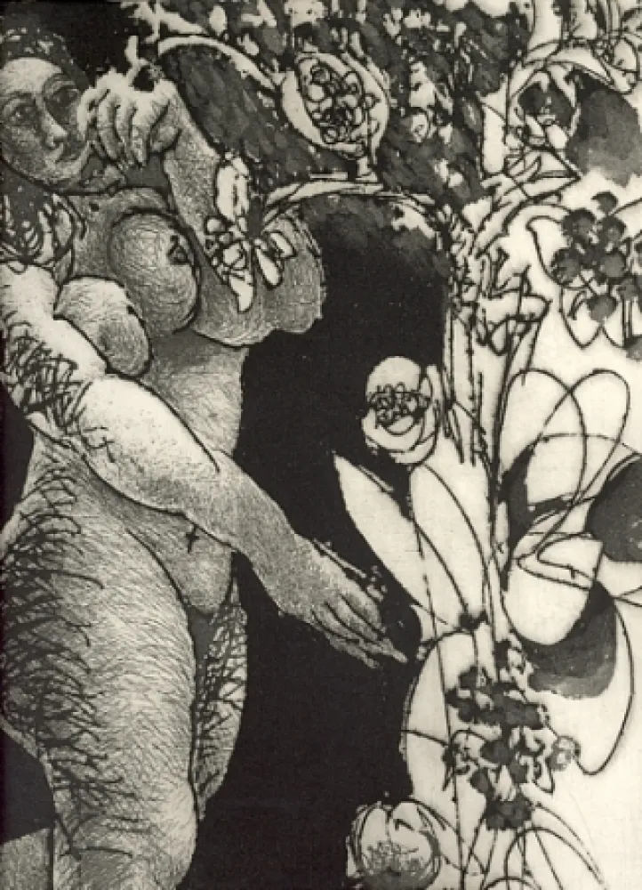 插图书 Pignateli - Controra