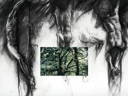 数码版画 Pignon-Ernest - Arbrorigènes (Les)