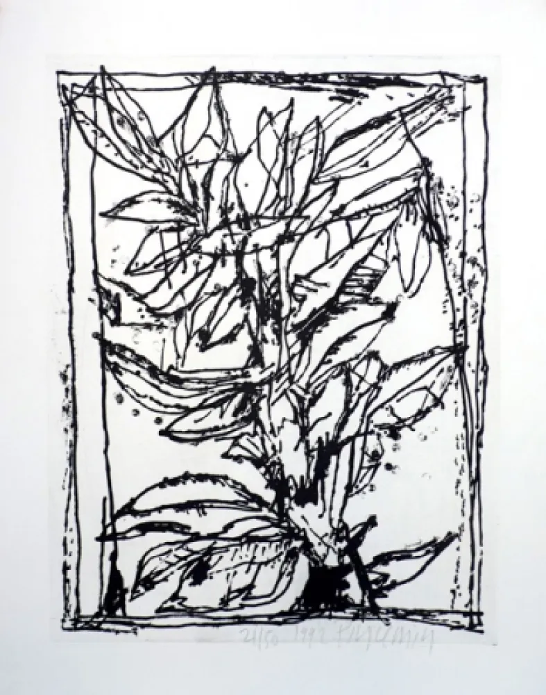 飞尘腐蚀法 Pincemin - Sans titre