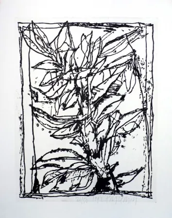 飞尘腐蚀法 Pincemin - Sans titre