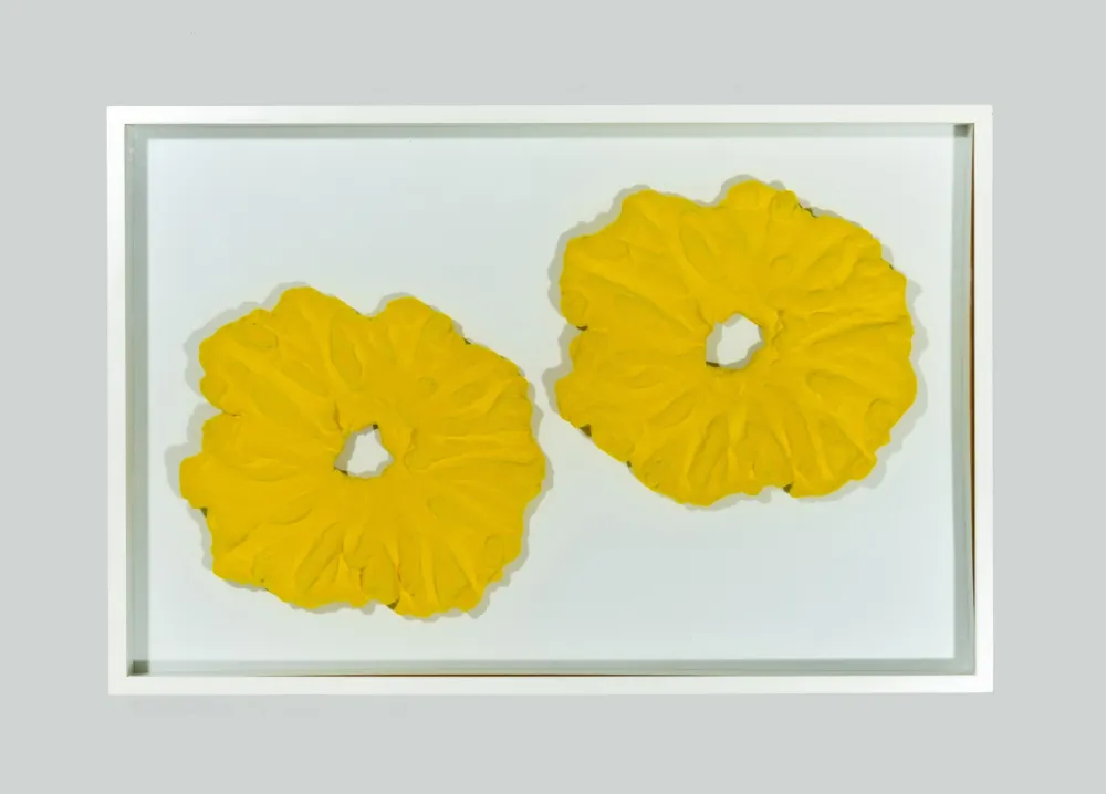 无技术 Pinelli - Pittura G.