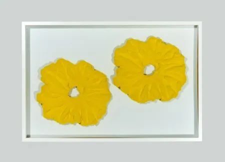 无技术 Pinelli - Pittura G.