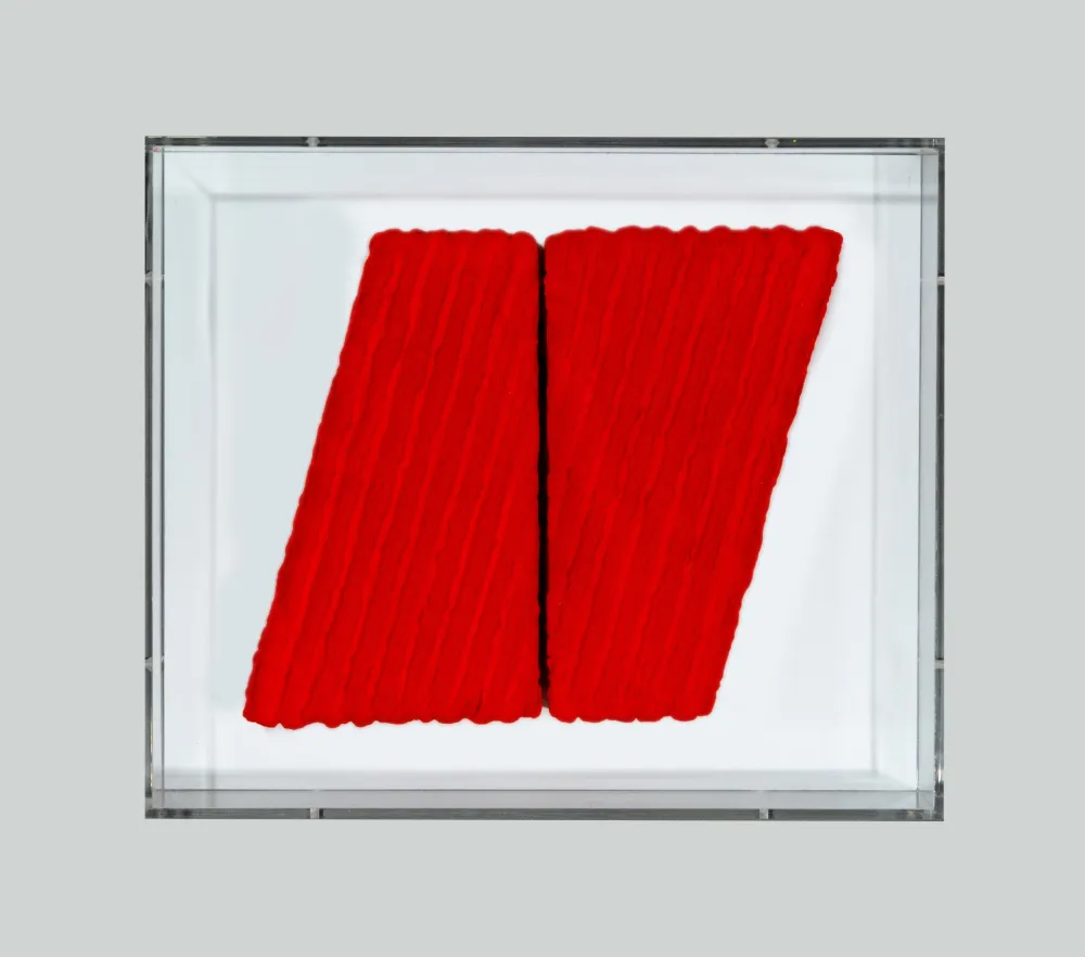 无技术 Pinelli - Pittura R.