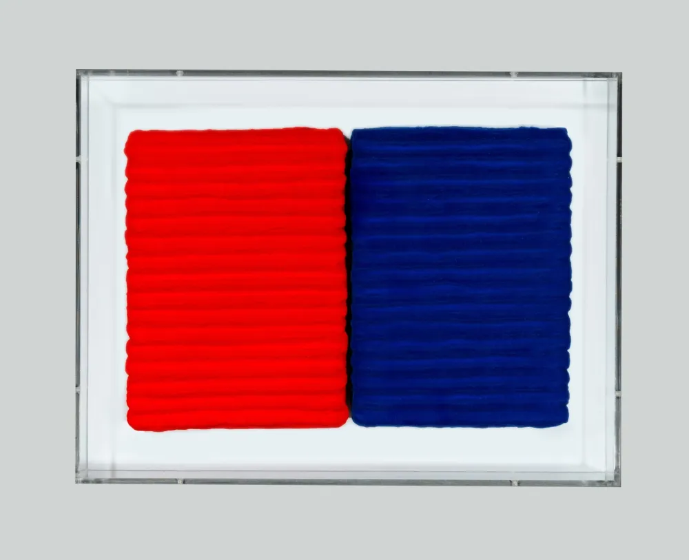 无技术 Pinelli - Pittura R. BL