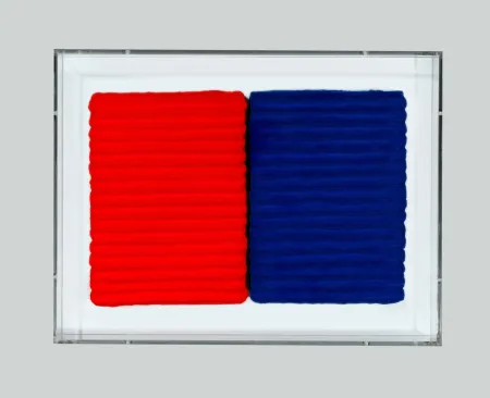 无技术 Pinelli - Pittura R. BL