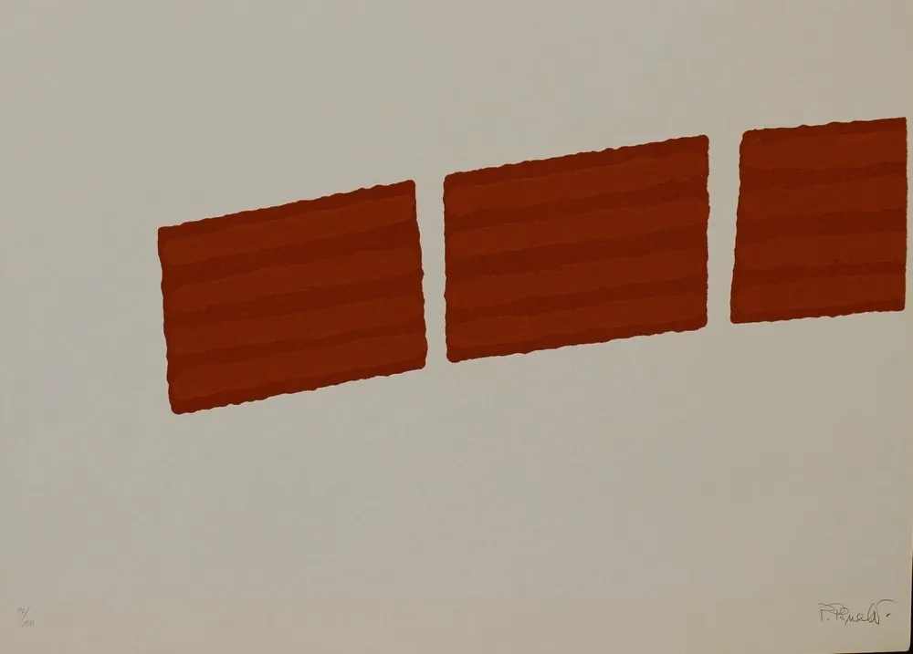 丝网印刷 Pinelli - SENZA TITOLO