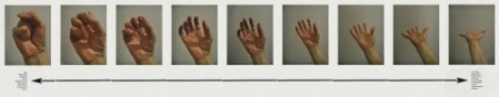 复数作品 Piper - Mokshamudra Progression