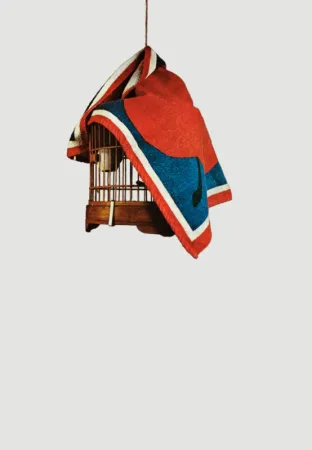 丝网印刷 Pistoletto - La gabbietta