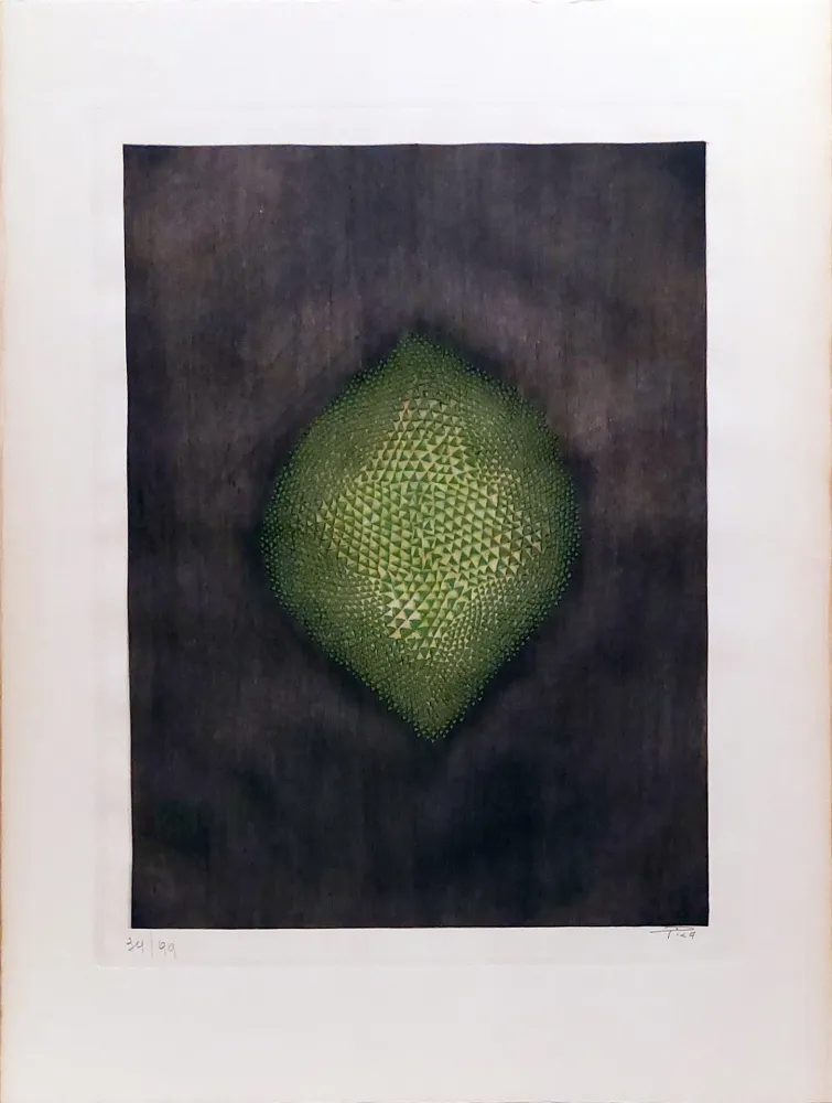 版画 Piza - Alcazar