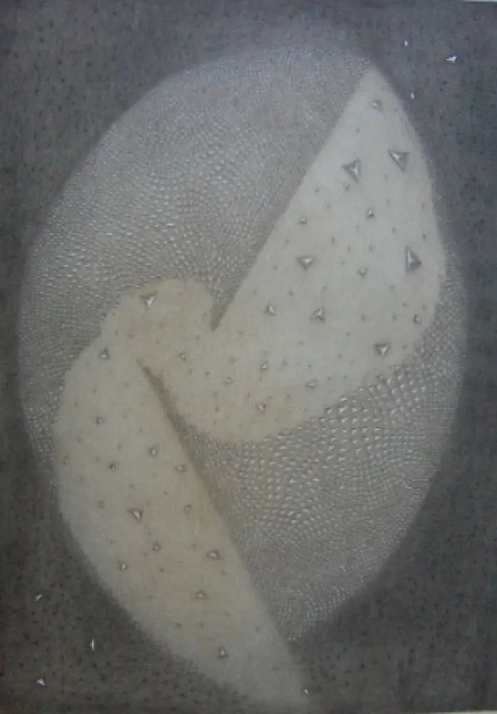 飞尘腐蚀法 Piza - Fin du commencement II