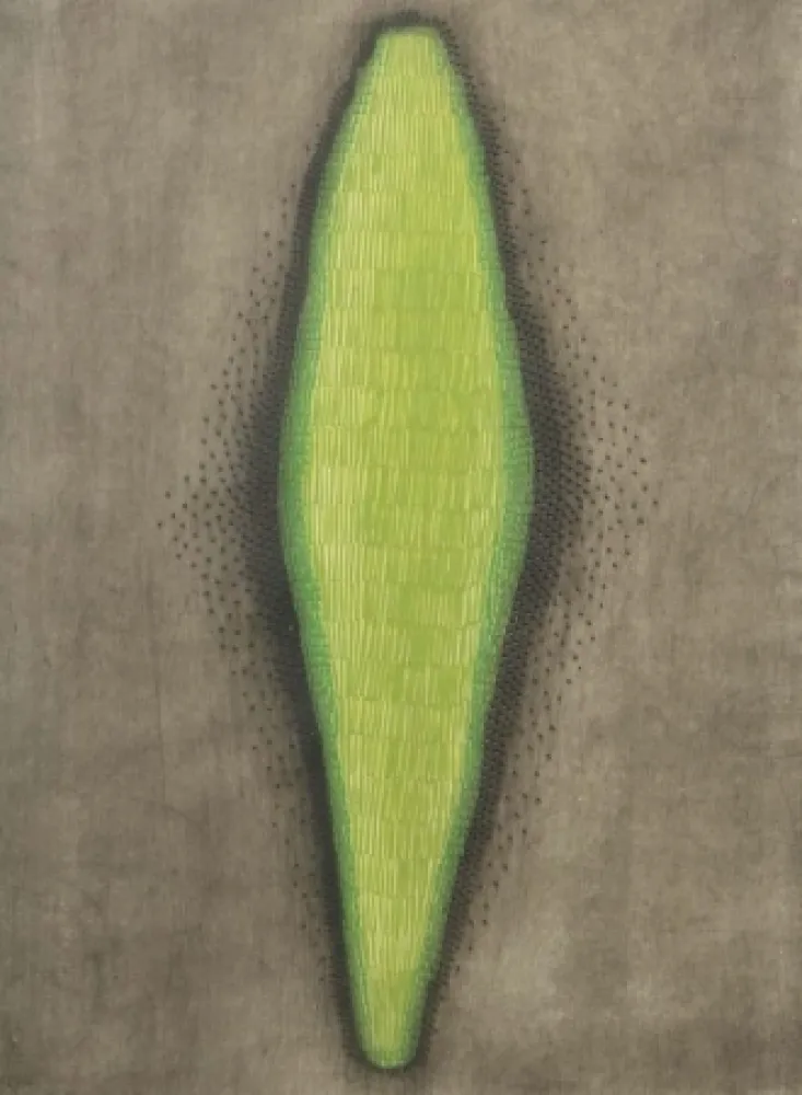 飞尘腐蚀法 Piza - Sans titre