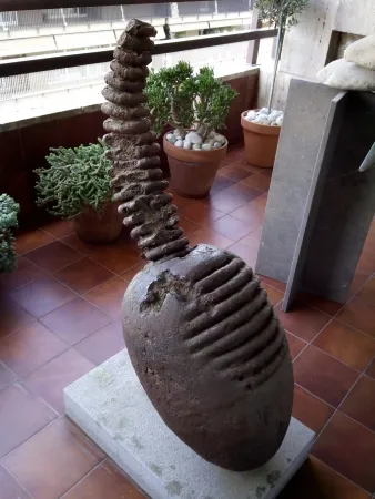 无技术 Plensa - Cap - Teté