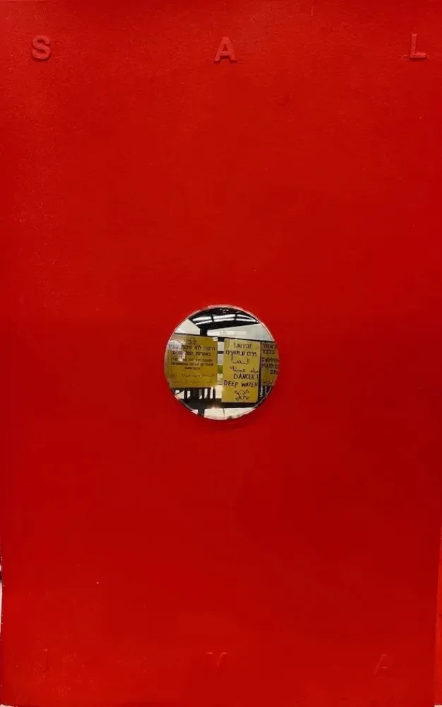 无技术 Plensa - Saliva