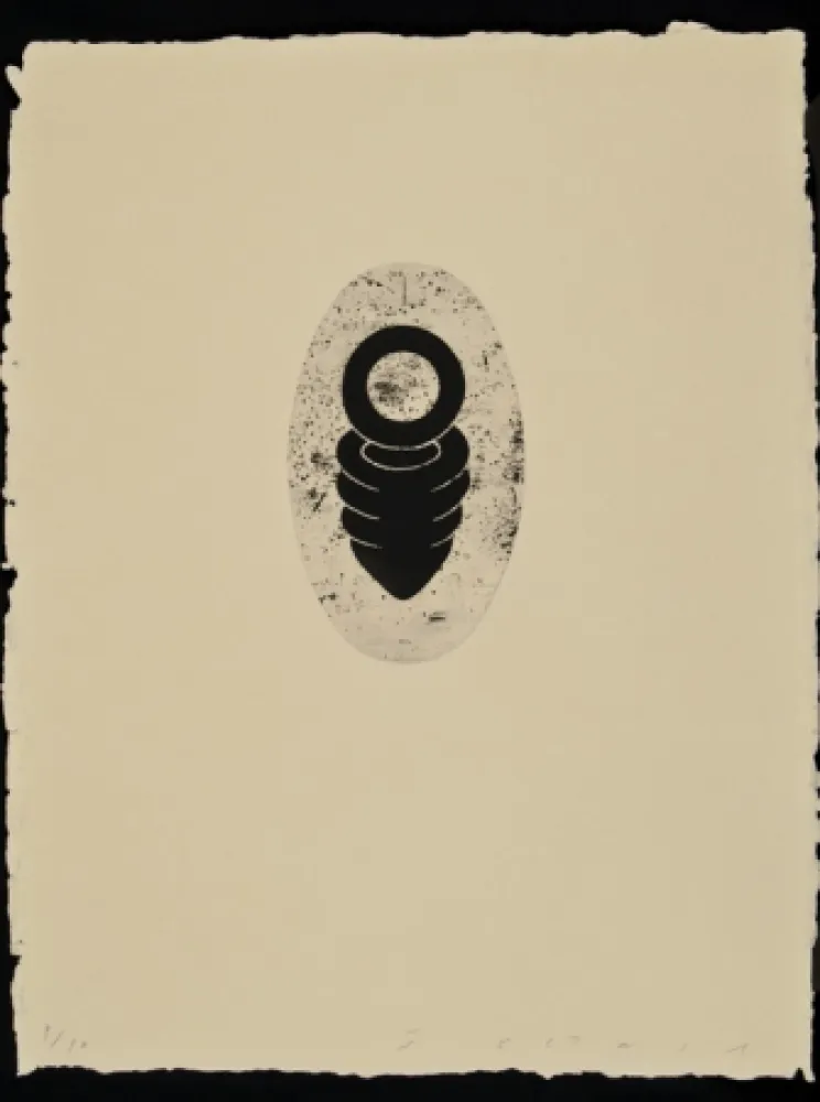 蚀刻飞尘法 Plensa - Suite Li