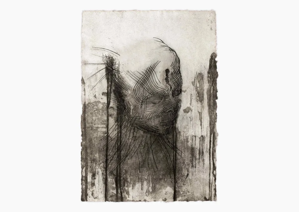 版画 Plensa - Twins 1