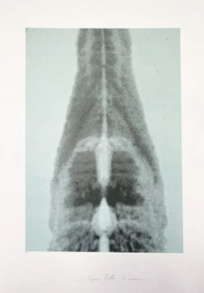 复数作品 Polke - Untitled (Columbus In Search of a New Tomorrow)