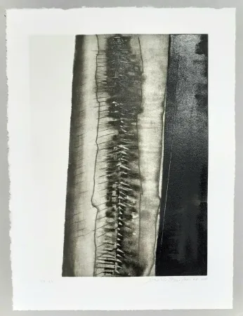 飞尘腐蚀法 Pomodoro - Composizione