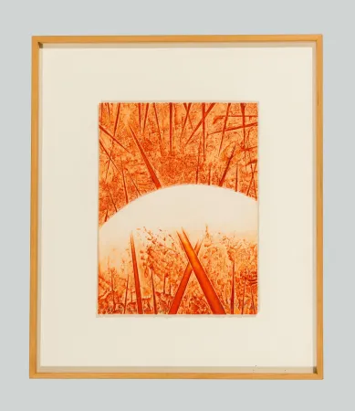 凸版印刷 Pomodoro - Composizione