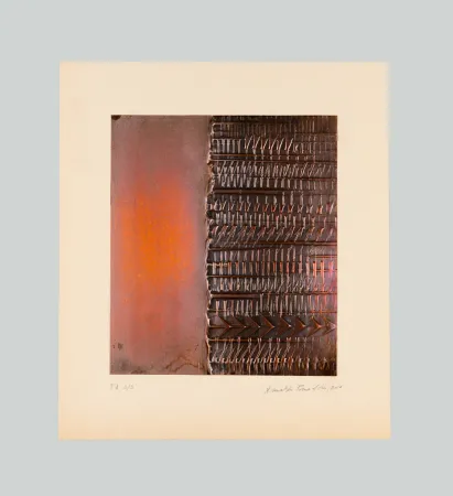 凸版印刷 Pomodoro - Lettera a metà