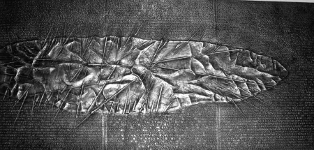 插图书 Pomodoro - Sette frammenti da l'Arte dell'uomo primordiale