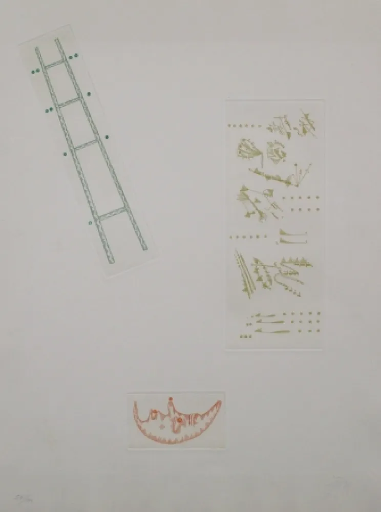 版画 Ponç - Composició