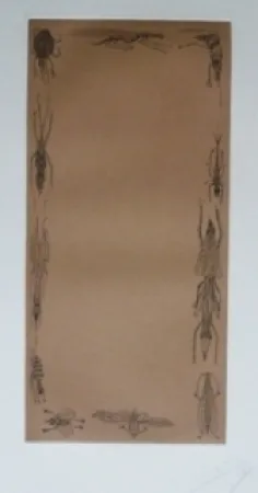 蚀刻飞尘法 Ponç - Kafka 10