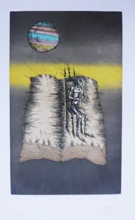 蚀刻飞尘法 Ponç - Quichotte 12