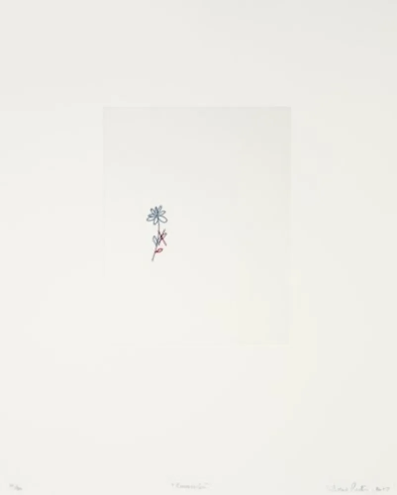 版画 Porter - Corrección