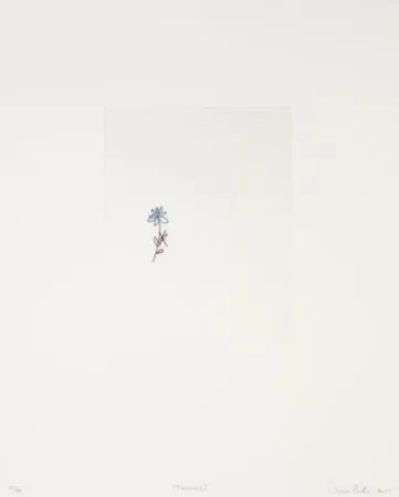 版画 Porter - Corrección