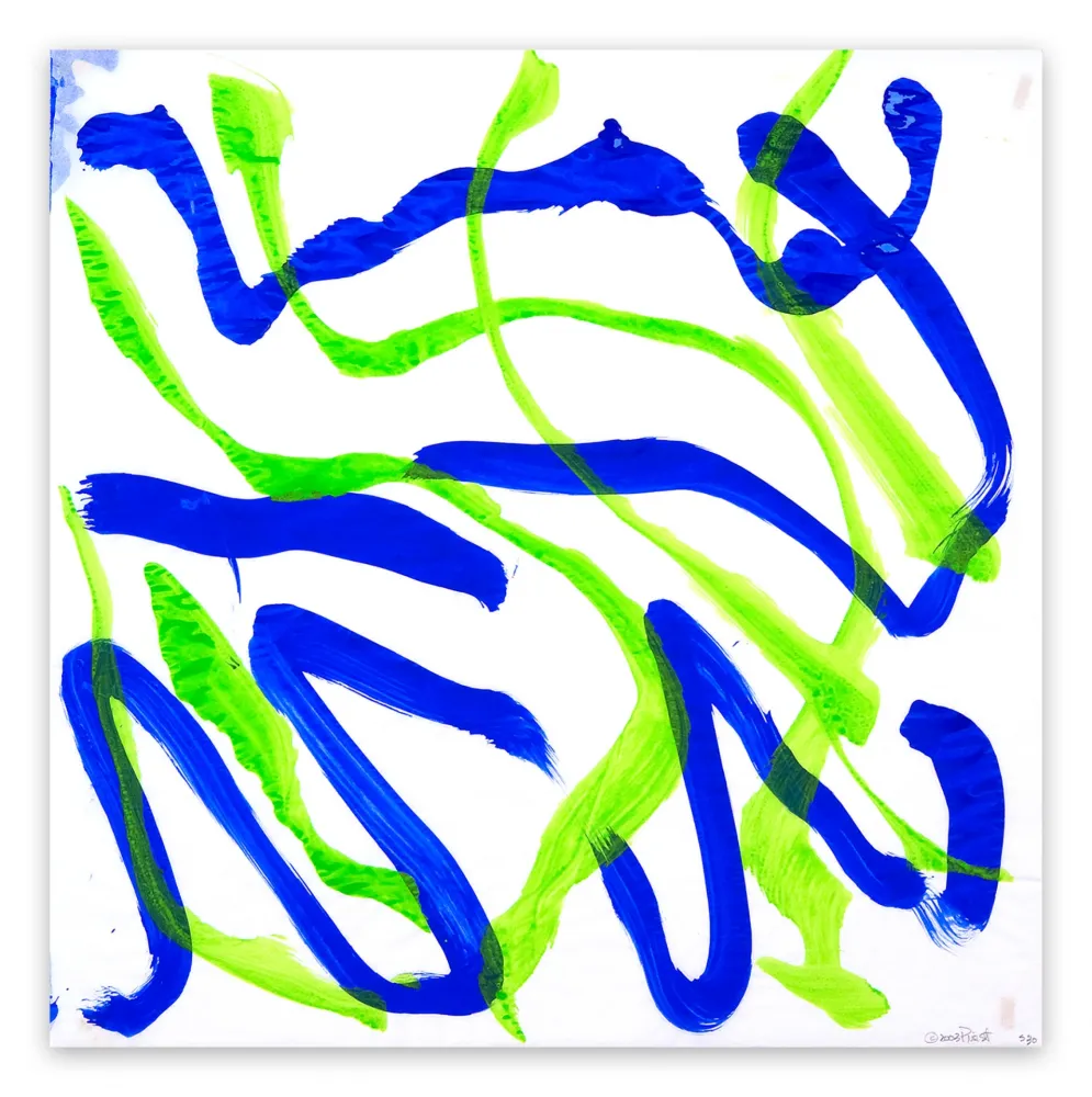 无技术 Priest - Dolphin Dance 30