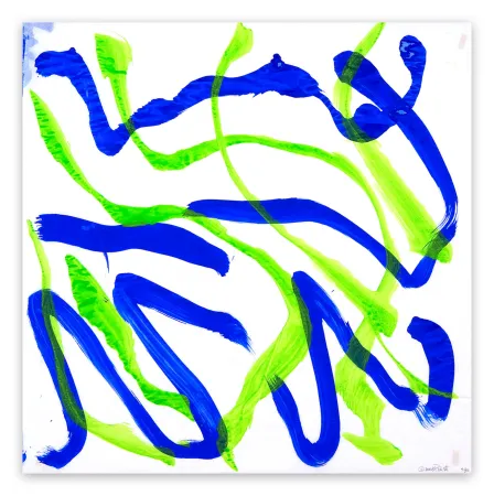 无技术 Priest - Dolphin Dance 30