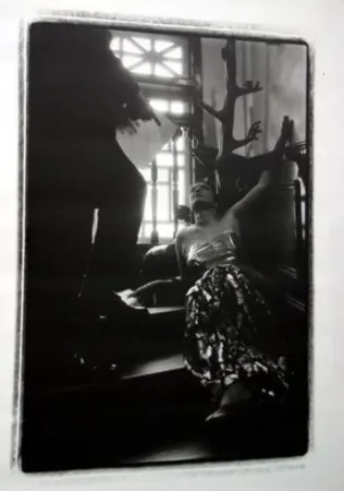 复数作品 Pushpamala - Phantom Lady #14