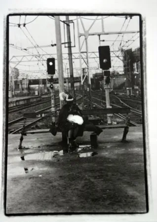 复数作品 Pushpamala - Phantom Lady #22